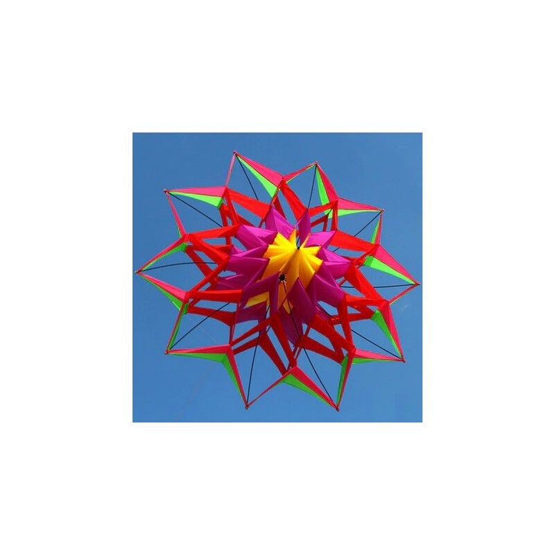 Sports / beach kite - 3D flower - with handle / lineKites