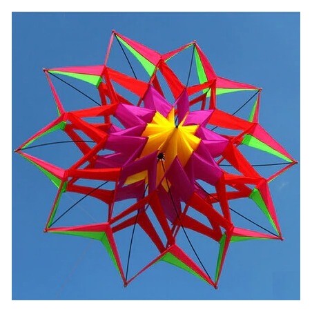 Sports / beach kite - 3D flower - with handle / lineKites