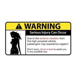 Grappige autosticker - "Sexy Girl Warning Serious Injury Can Occur"Stickers