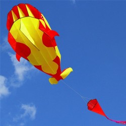 Giant wale - dolphin - frameless - beach kite with line - 2 meterKites