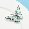 Broche met natuurlijke schelpvlinderBroches