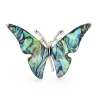 Broche met natuurlijke schelpvlinderBroches
