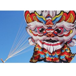 Colorful 3D lion kite - with handle / lineKites