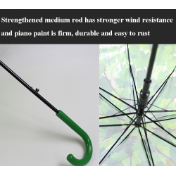 Transparante kleurrijke paraplu - lange steel - esdoornbladerenOutdoor & Kamperen
