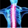 Orthopaedic back support belt - posture correction - back corrector with magnetsHealth & Beauty