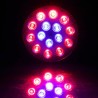 LED plant grow lamp - hydroponic light - E27 - 6W - 15W - 21W - 27W - 36W - 45W - 54WGrow Lights