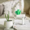 Transparante ultrasone luchtbevochtiger - etherische oliën diffuser - cactus - LED - USB - 160 mlLuchtbevochtigers
