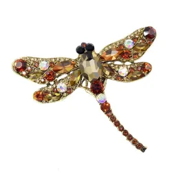 Kristallen libelle brocheBroches