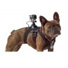 Dog harness - chest strap - mount for GoPro Hero CamerasMounts