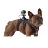 Harnais pour chien - sangle de poitrine - support pour caméras GoPro Hero