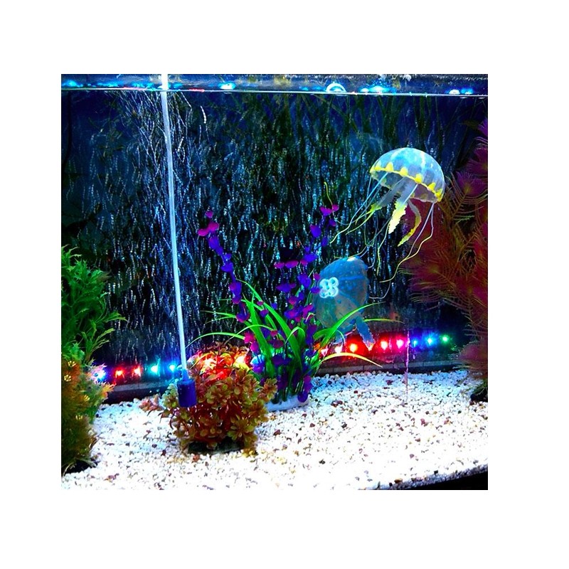 Siliconenkwallen - aquariumdecoratieDecoraties