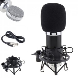 BM 5000 - professional condenser microphone - with circuit control - gold-plated diaphragm