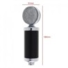 BM 5000 - professional condenser microphone - with circuit control - gold-plated diaphragmMicrophones