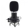 BM 5000 - professional condenser microphone - with circuit control - gold-plated diaphragmMicrophones