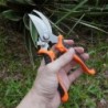 Professional pruning secateur - sharp garden scissorsGarden