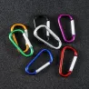 Metal carabiner - keychain - clip-lock buckle - D-shape - 10 piecesKeyrings