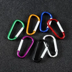 Metalen karabijnhaak - sleutelhanger - clip-lock gesp - D-vorm - 10 stuksSleutelhangers