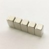 N50 - neodymium magneet - sterk T-vormig blok - 10.5mm * 5mm * 5.8mmN50