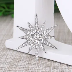 Crystal star broochBrooches