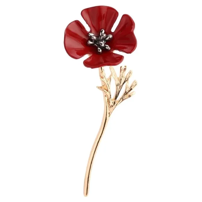 Rood klavertje vier - elegante brocheBroches