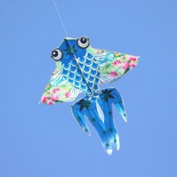 Foldable kite - colorful beeKites