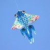 Opvouwbare vlieger - kleurrijke bijVliegers