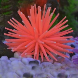Lichtgevende aquariumdecoratie - siliconenkoraalDecoraties