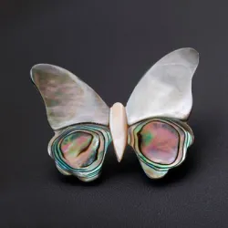 Schelpenvlinder - elegante brocheBroches