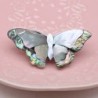 Parelmoer schelp vlinder - brocheBroches