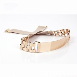 Fashion elastic belt - with metal golden decorationBelts