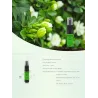 Gardenia fragrance - body spray - perfume - 10 mlPerfumes