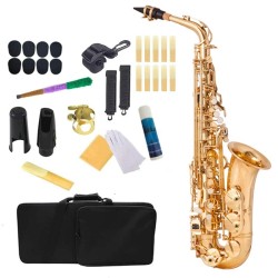 Professionele saxofoon - toets-Eb Alto - met koffer / accessoiresSaxofoon