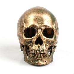 Menselijke schedel gemaakt van hars - bronsBeelden & Sculpturen
