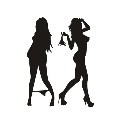 Sexy vrouw in ondergoed sticker zwart/ zilverStickers