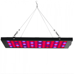 Egrow GL-2 40W LED grow light lamp with red blue UV & IR spectrumKweeklampen