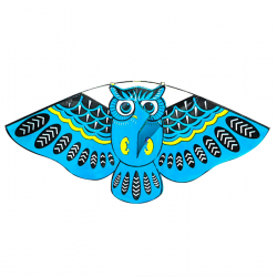 Colorful owl easy fly kite 110 * 50cmVliegers