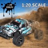 2811 1/20 2.4G 2WD high speed RC car - drift radio controlled - racing climbing off-road truckCars