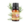 Enlargement - breast firming - essential massage oil - 10mlMassage
