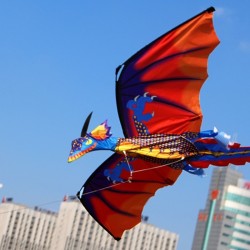 3D dragon kite with tail & line 100mVliegers