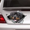 3D Rottweiler - vinyl autosticker - 13 * 8.4cmStickers