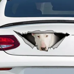 White Bull Terrier - vinyl car sticker - waterproof - 13 * 4.9cmStickers
