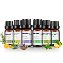 10ml * 6 - Essentiële oliën voor luchtbevochtiger - lavendel - theeboom - citroengras - rozemarijn - sinaasappel - pepermuntL...