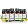 10ml * 6 - Essentiële oliën voor luchtbevochtiger - lavendel - theeboom - citroengras - rozemarijn - sinaasappel - pepermuntL...