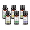 10ml * 6 - Essentiële oliën voor luchtbevochtiger - lavendel - theeboom - citroengras - rozemarijn - sinaasappel - pepermuntL...